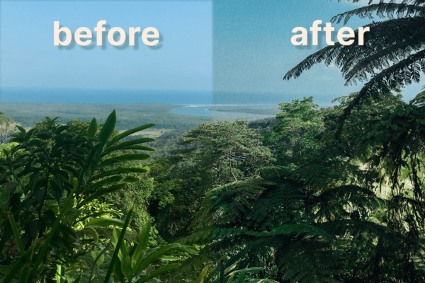 lightroom preset