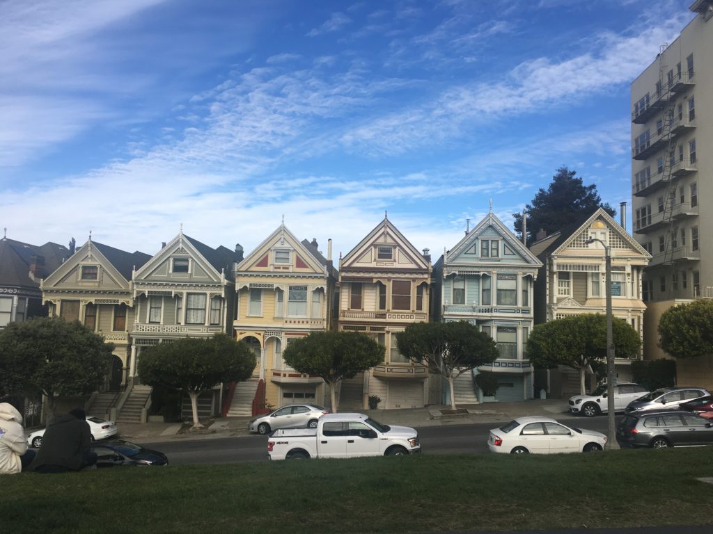 Painted Ladies